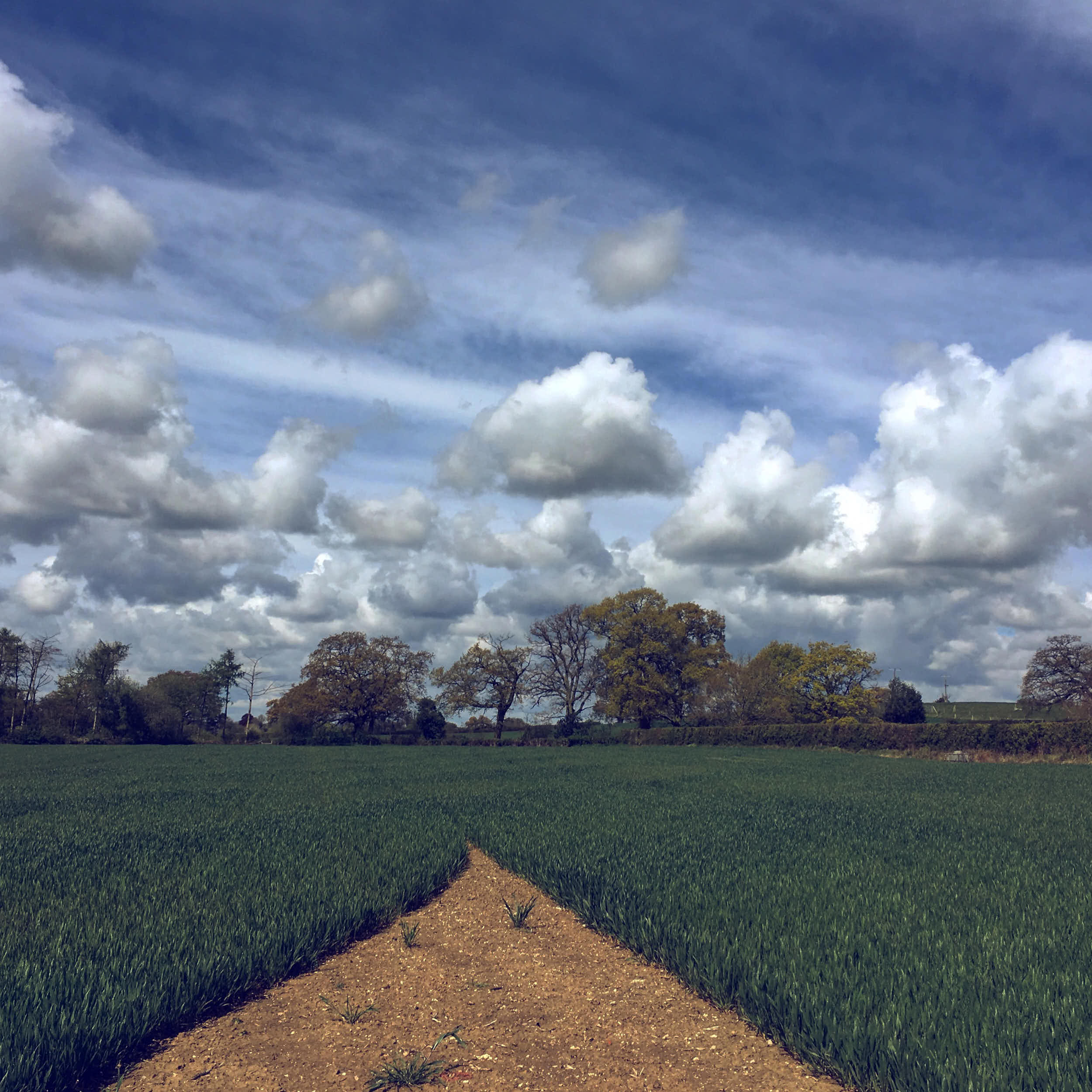 Reportage_2785